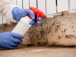 Best Biohazard Mold Removal  in Bridgehampton, NY